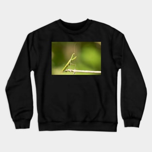 Man 'Tis Be Cool Crewneck Sweatshirt